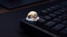Cargar imagen en el visor de la galería, Sova en teclado negro