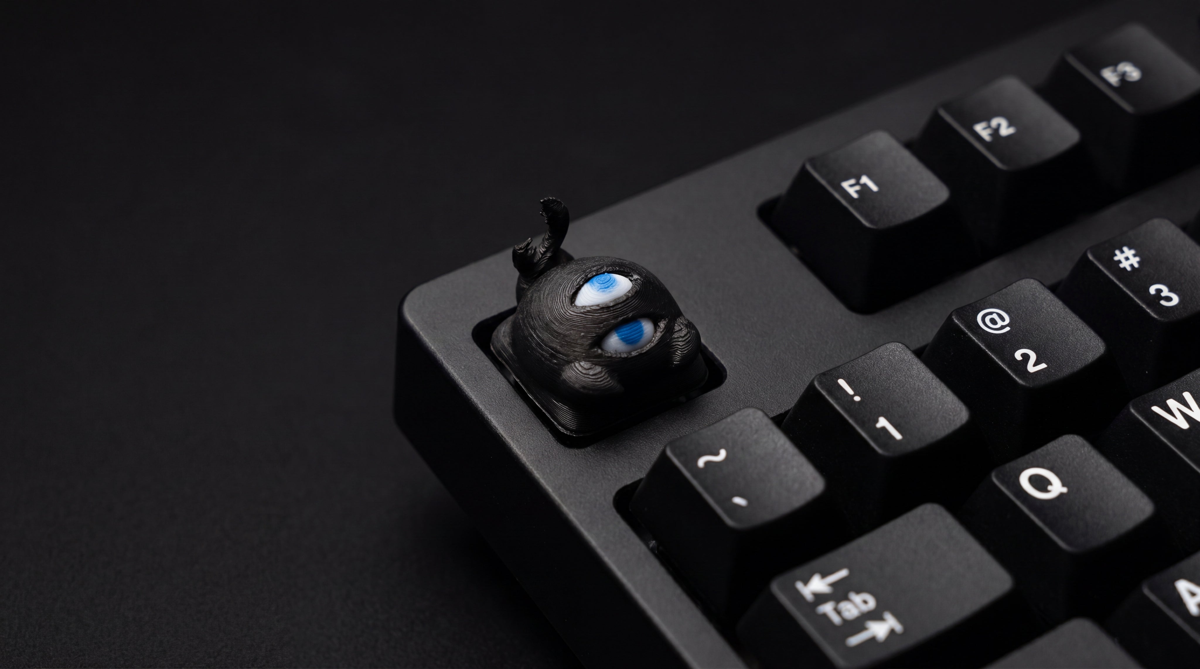 Kage on black keyboard