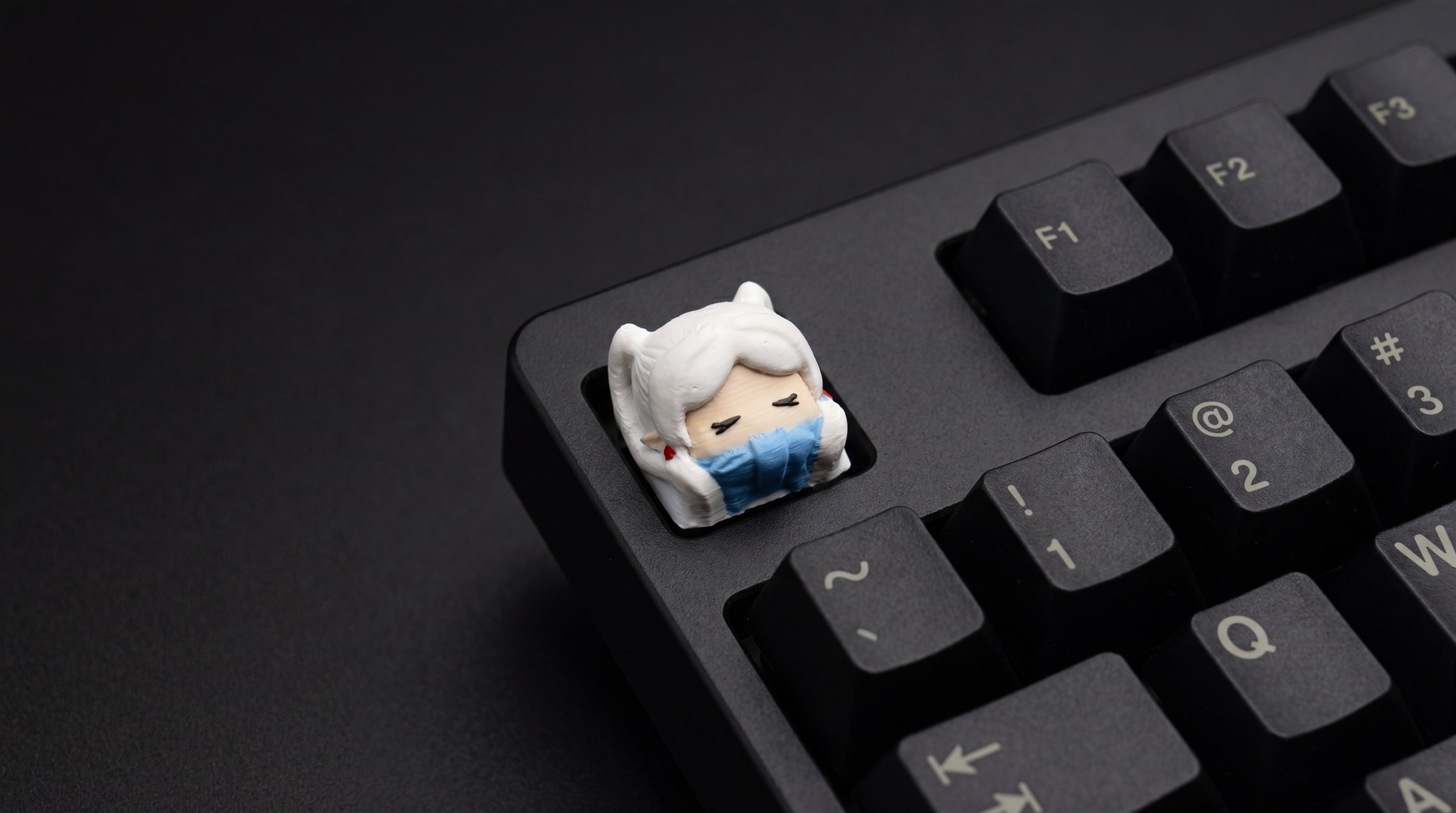 Frieren Durmiendo on black keyboard