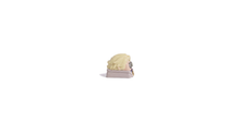 Cargar imagen en el visor de la galería, Kento Nanami right
